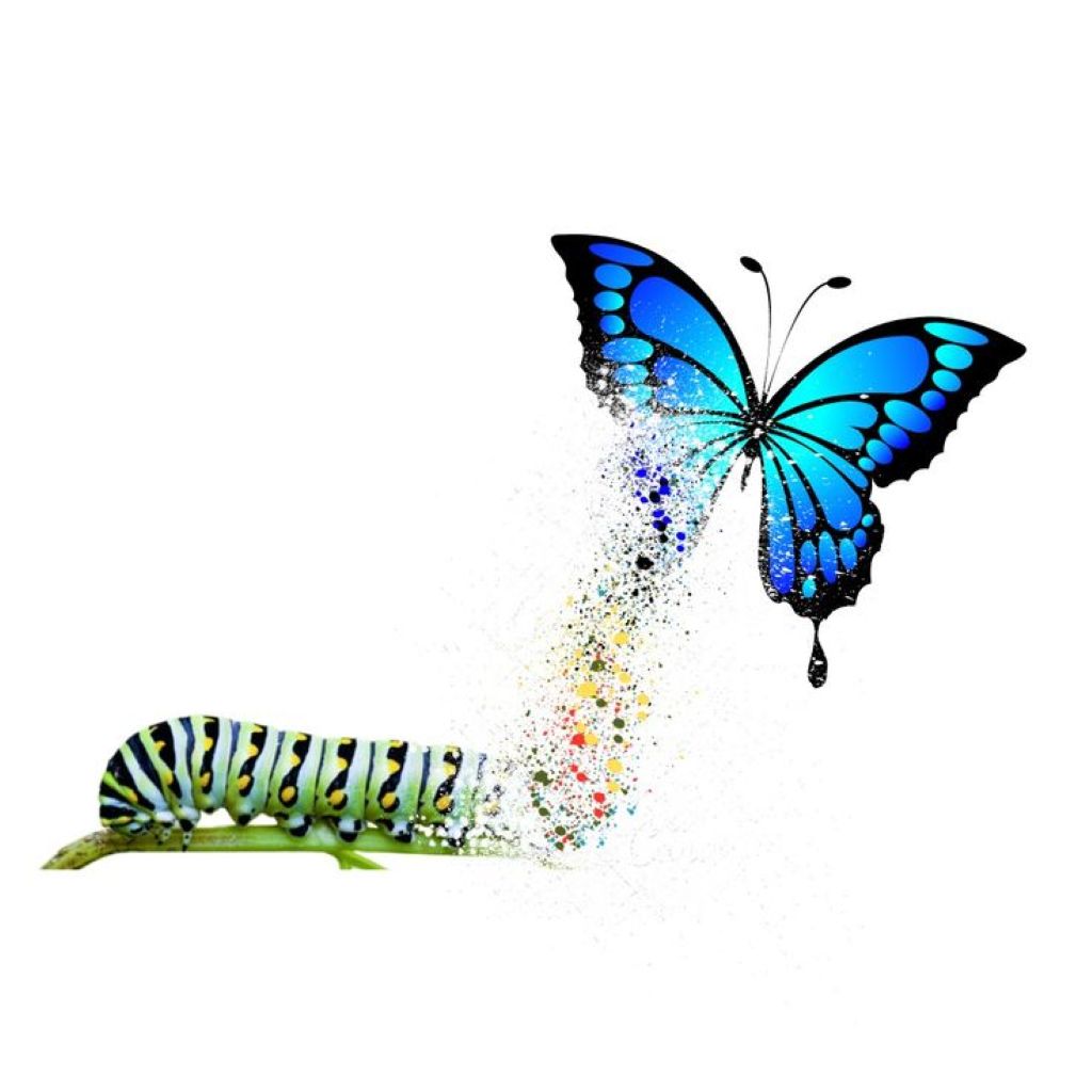 Estrés, trauma y desregulación del sistema nervioso. EMDR y Somatic Experiencing